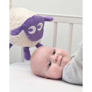 Ewan the dream sheep purple 3