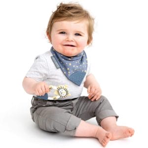 Bertie the lion teether 16736468926508 5000x