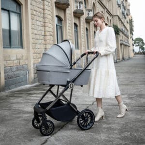 Chia Pram Pushchair Pearl Grey 4