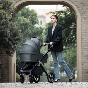 Kai Travel System Pecan With Base Forest Grey 2