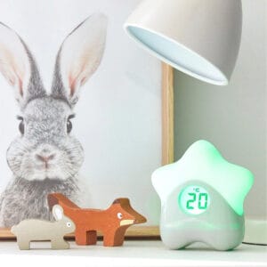 Purflo Starlight Colour Change Thermometer (1)
