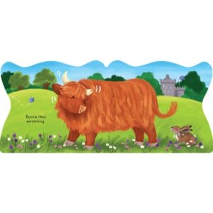 My first highland cow2
