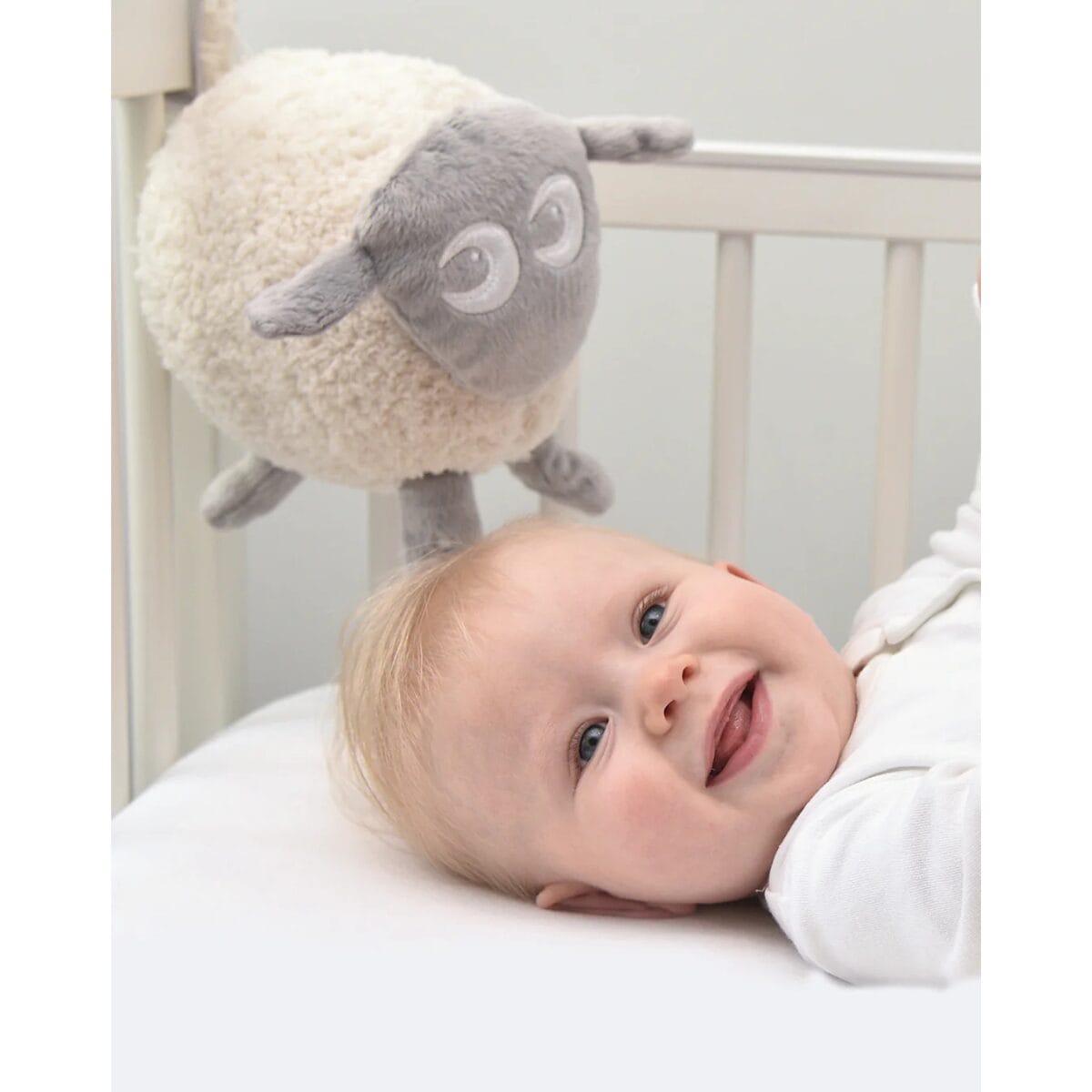 Ewan the dream sheep 2