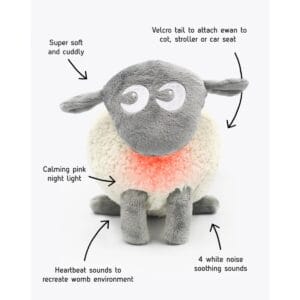 Ewan the dream sheep 3