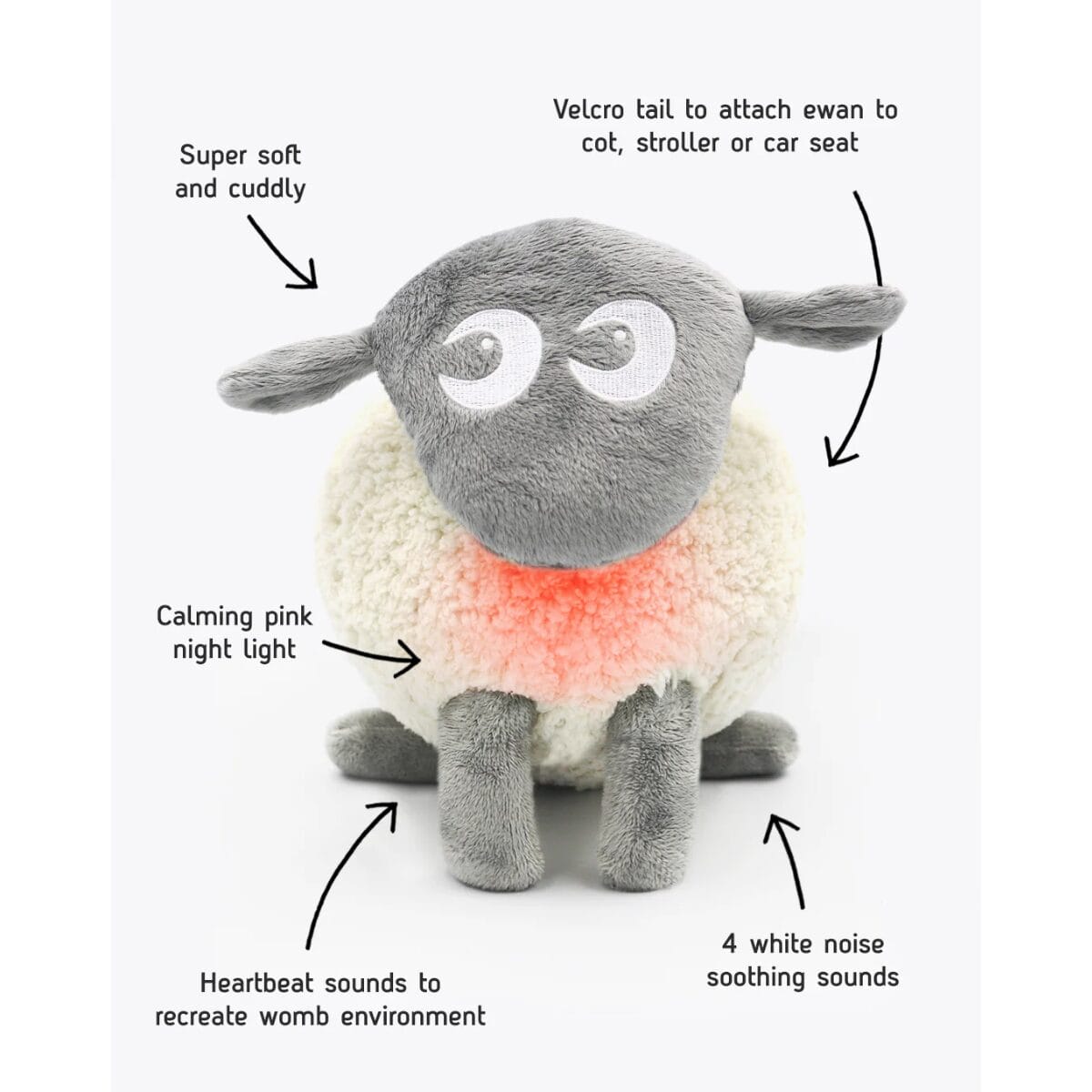 Ewan the dream sheep 3