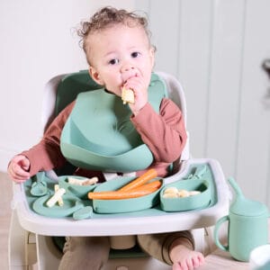 Tutti Bambini Nova Highchair Accessory Pack Basil (5)