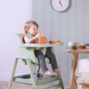 Tutti Bambini Nova Highchair Accessory Pack Ginger