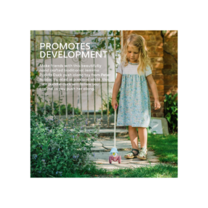 Jemima Puddle Duck™ Wooden Boxed Push Along (1)